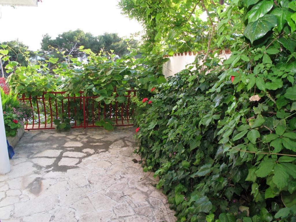 Apartments Ana Trogir Quarto foto